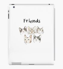 Friends Cat iPad Case/Skin
