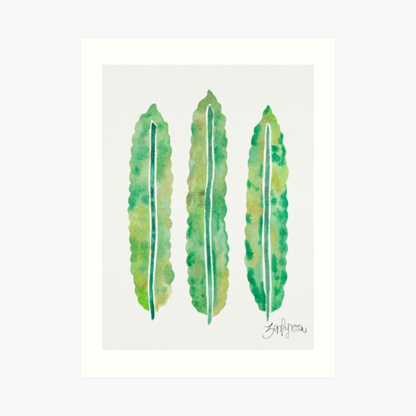 Crispy Wave Fern Leaves Art Print