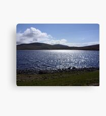 silent valley Canvas Print