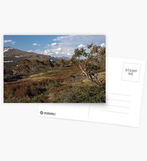 From Charlotte's Pass Postcards