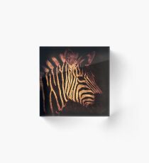 Placidity Acrylic Block