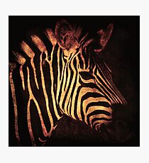 Placidity Photographic Print