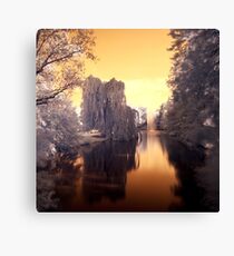 Acid Bath Canvas Print