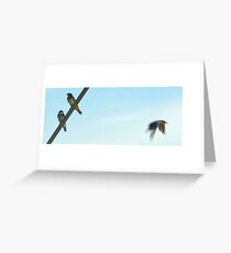 "Birds at the Marsh" Greeting Card