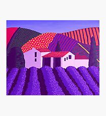 Lavender's er...........Mauve Photographic Print
