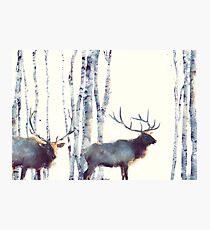Follow Photographic Print