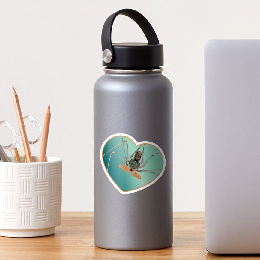 Amblypygi love - Acanthophrynus coronatus Sticker