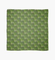 Asparagus Scarf