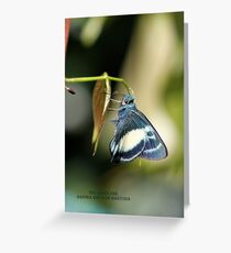 The Green Awl Greeting Card