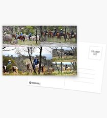 Weddin Muster 2010 No. 2 Postcards
