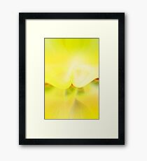 Yellow Framed Print