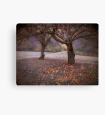 fallen fruit Canvas Print