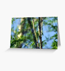 New Spring Greeting Card