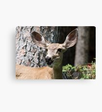 Funny! Canvas Print