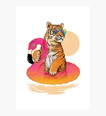 Chillin, Flamingo Tiger Photographic Print