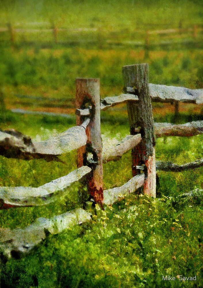 Country The Old Fence Post By Michael Savad Redbubble   Flat,1000x1000,075,f 