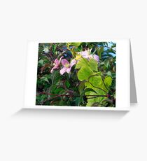 Flower dew Greeting Card