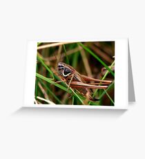 Not Hopping Today Greeting Card