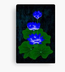Blue Lotus Canvas Print