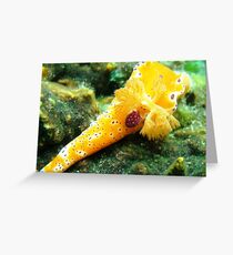 Nudi Greeting Card