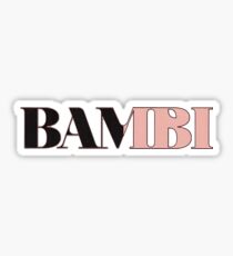 hippo campus Sticker