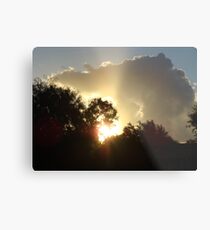 Nature Metal Print