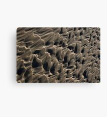 Sandy Canvas Print