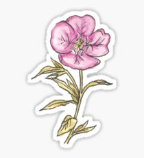 Primrose Sticker