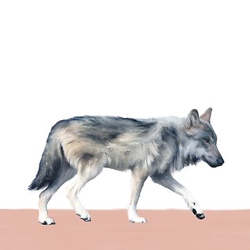 Artwork thumbnail, Wolf on Blush by AmyHamilton