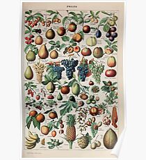 Adolphe Millot fruits pour tous Poster