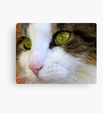 Miss Puss Puss Canvas Print