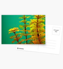 The World Is A Colorful Wonder ~ Part Five Postcards