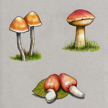 Mushroom art | Coloring book art, Hand art drawing, Color drawing art