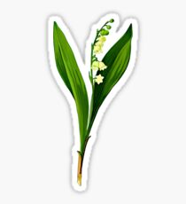 Convallaria majalis-lily of the valley .... Sticker