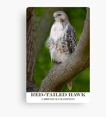 Red Tail Canvas Print