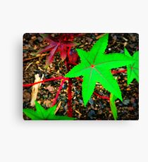 New Growth Canvas Print