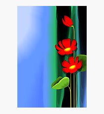 Amazing beauty of the red flowers Photographic Print