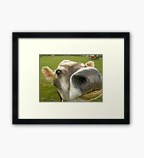 Silly Moo Framed Print