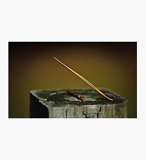 Pine Needle Sun Dial Photographic Print
