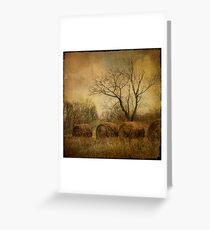 drapé dans les ors de l'automne... Greeting Card