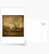 drapé dans les ors de l'automne... Postcards