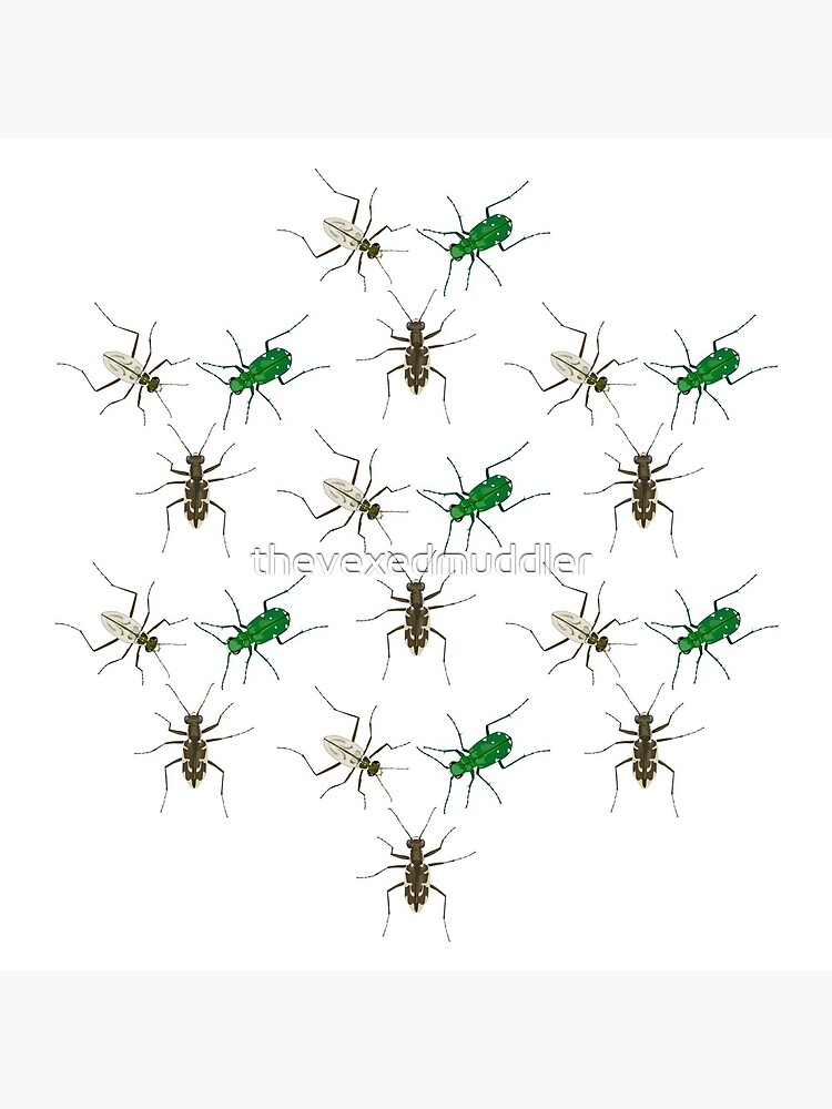 Tiger Beetle Pattern by thevexedmuddler