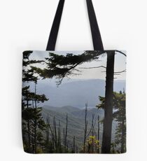 View From Clingmans Dome Tote Bag