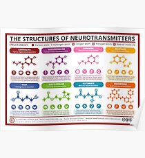 Chemische Strukturen von Neurotransmittern Poster