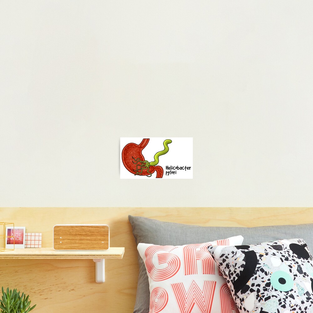 Helicobacter pylori Photographic Print