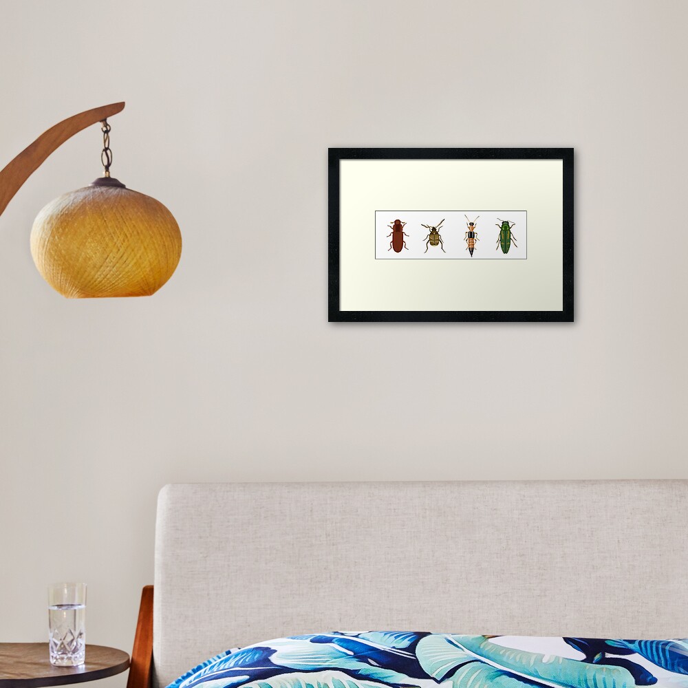 Four Beetles Framed Art Print