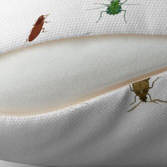 Alternate view of Four Beetles Throw Pillow