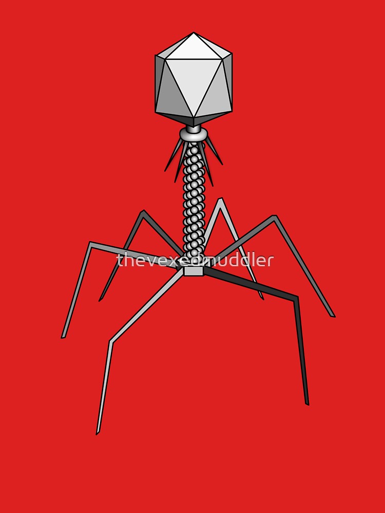 T4 bacteriophage virus by thevexedmuddler