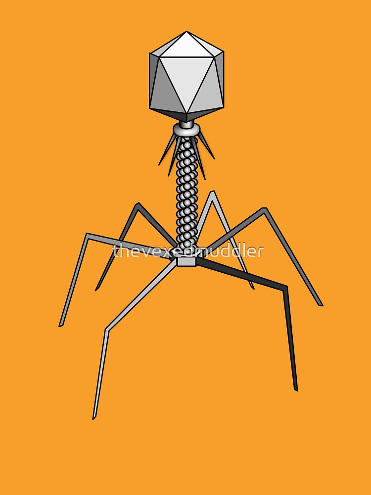 T4 bacteriophage virus by thevexedmuddler