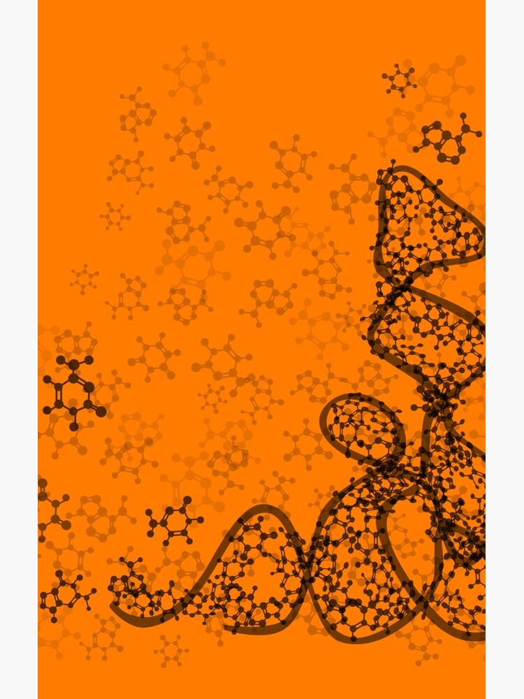 tRNA (transfer RNA) structure by thevexedmuddler